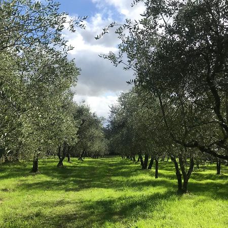 Agriturismo Podere I' Caldino Troghi Εξωτερικό φωτογραφία