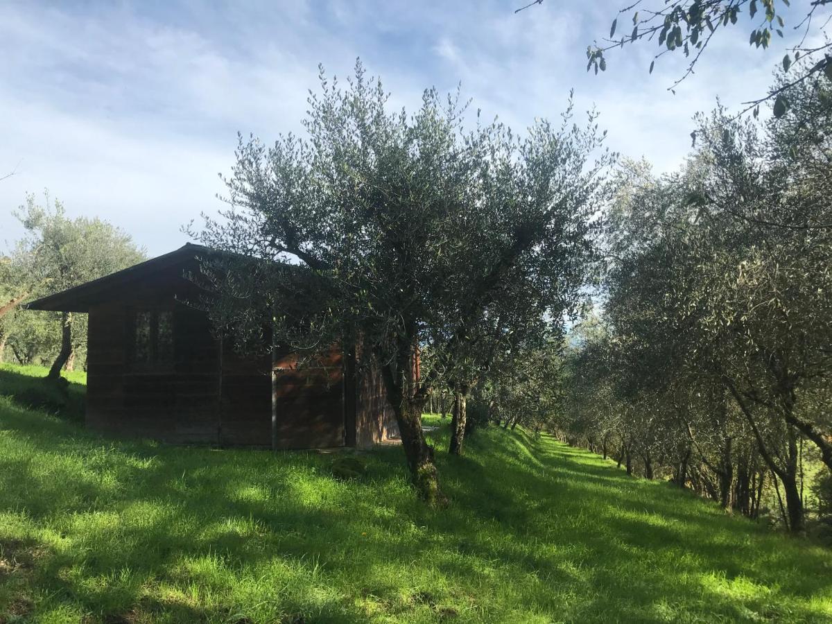 Agriturismo Podere I' Caldino Troghi Εξωτερικό φωτογραφία